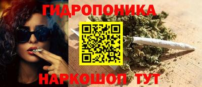 гашик Заволжье